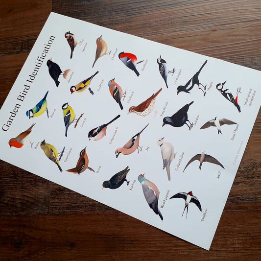 A3 Garden Bird Poster - Printed