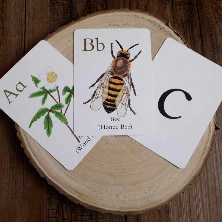Nature Alphabet Flashcards - Printed