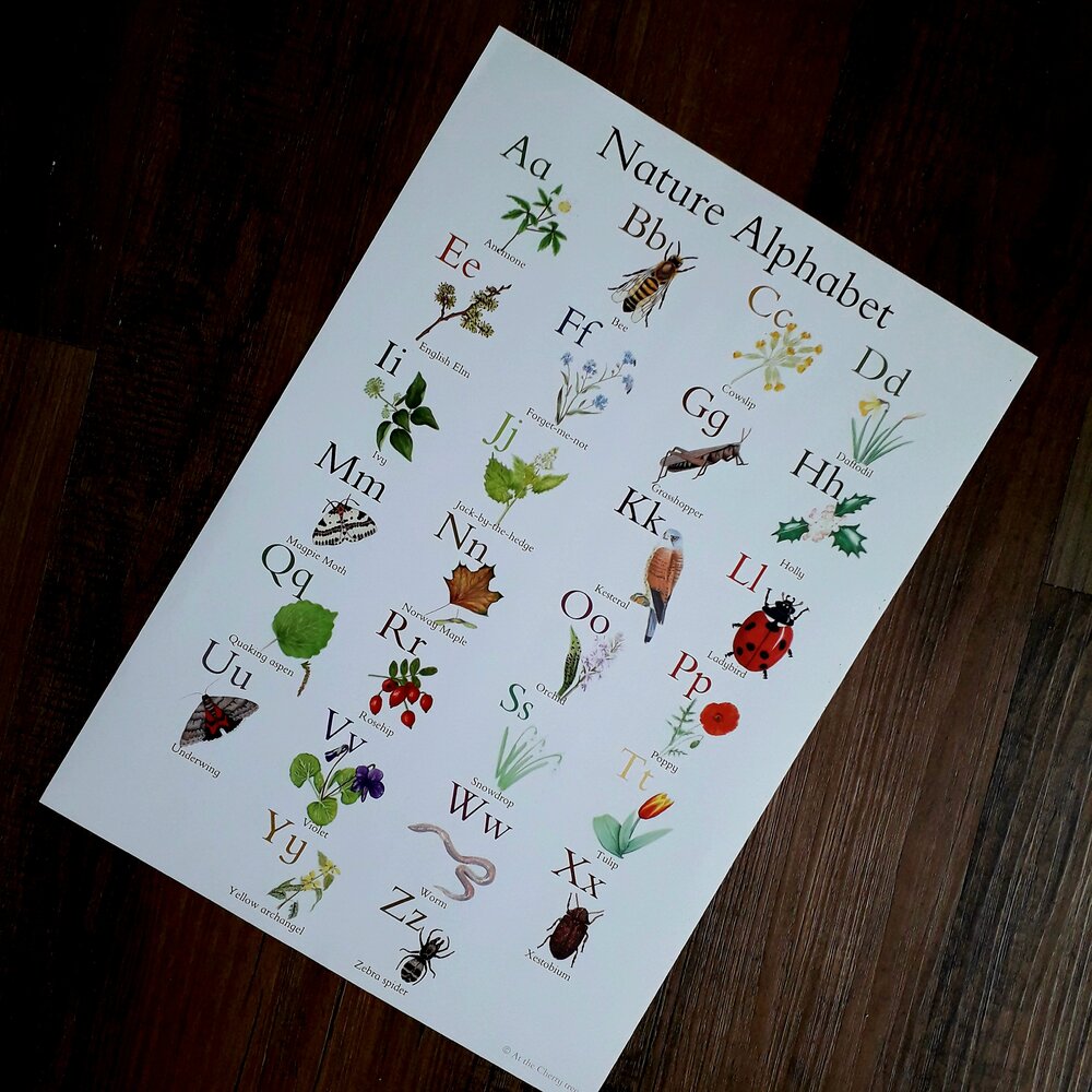 A3 Nature Alphabet Poster - Printed