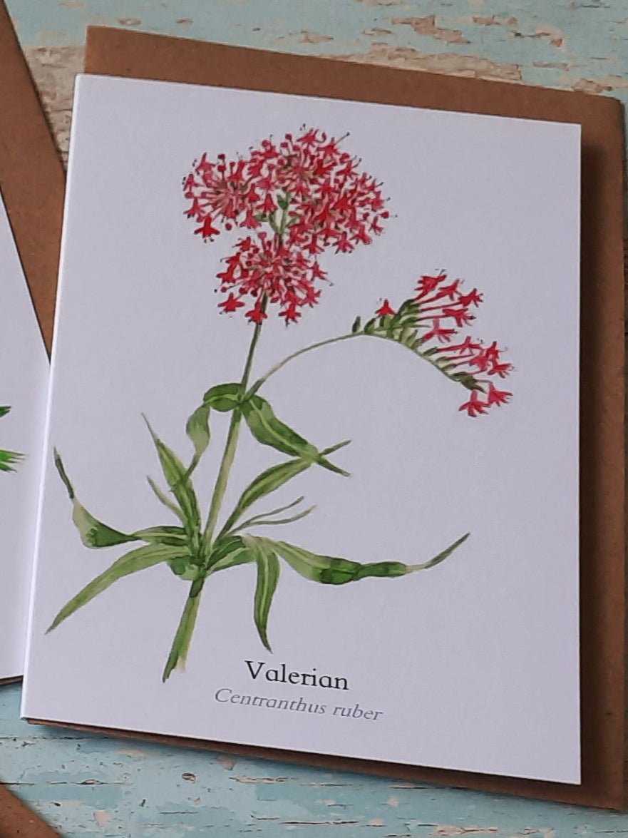 Valerian - Greetings Card - At the Cherry Tree