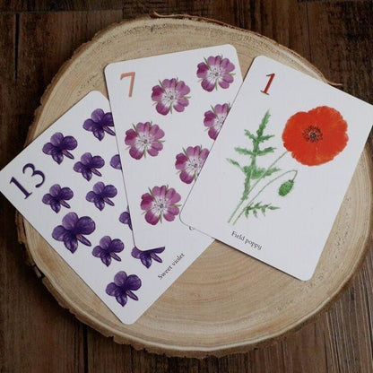 Wildflower Counting Cards - Printed - At the Cherry Tree