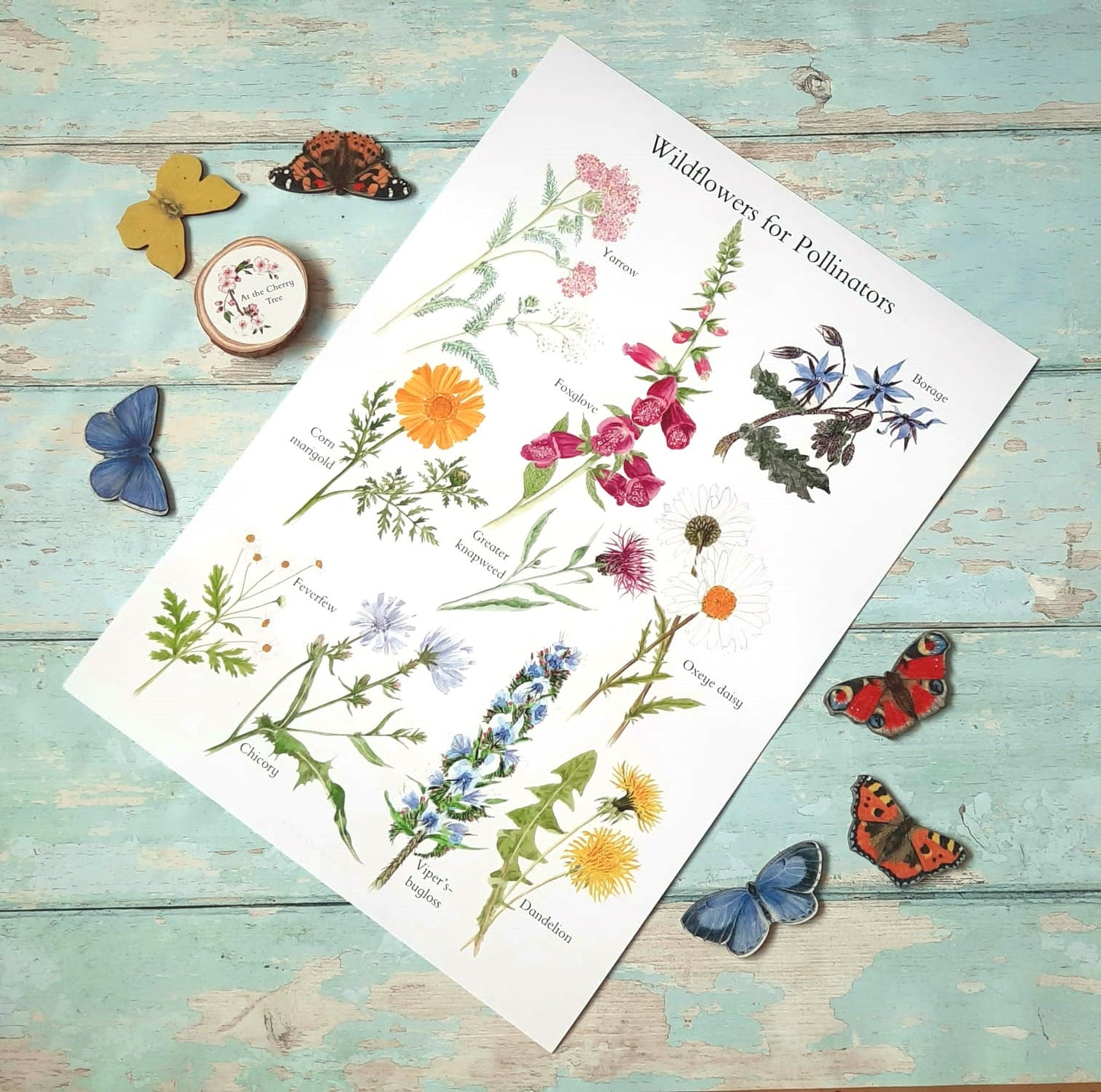 Wildflowers for Pollinators - Poster Print - At the Cherry Tree
