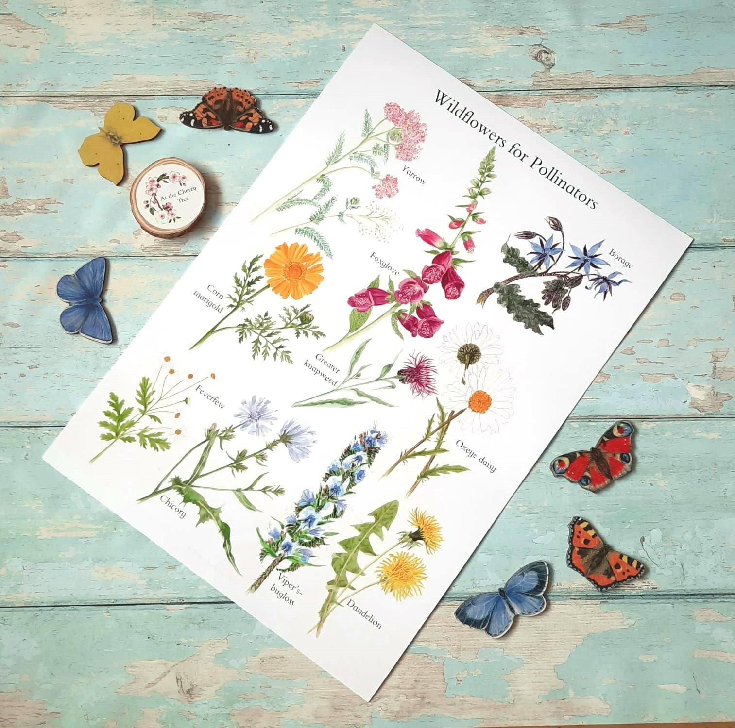 Wildflowers for Pollinators - Poster Print - At the Cherry Tree