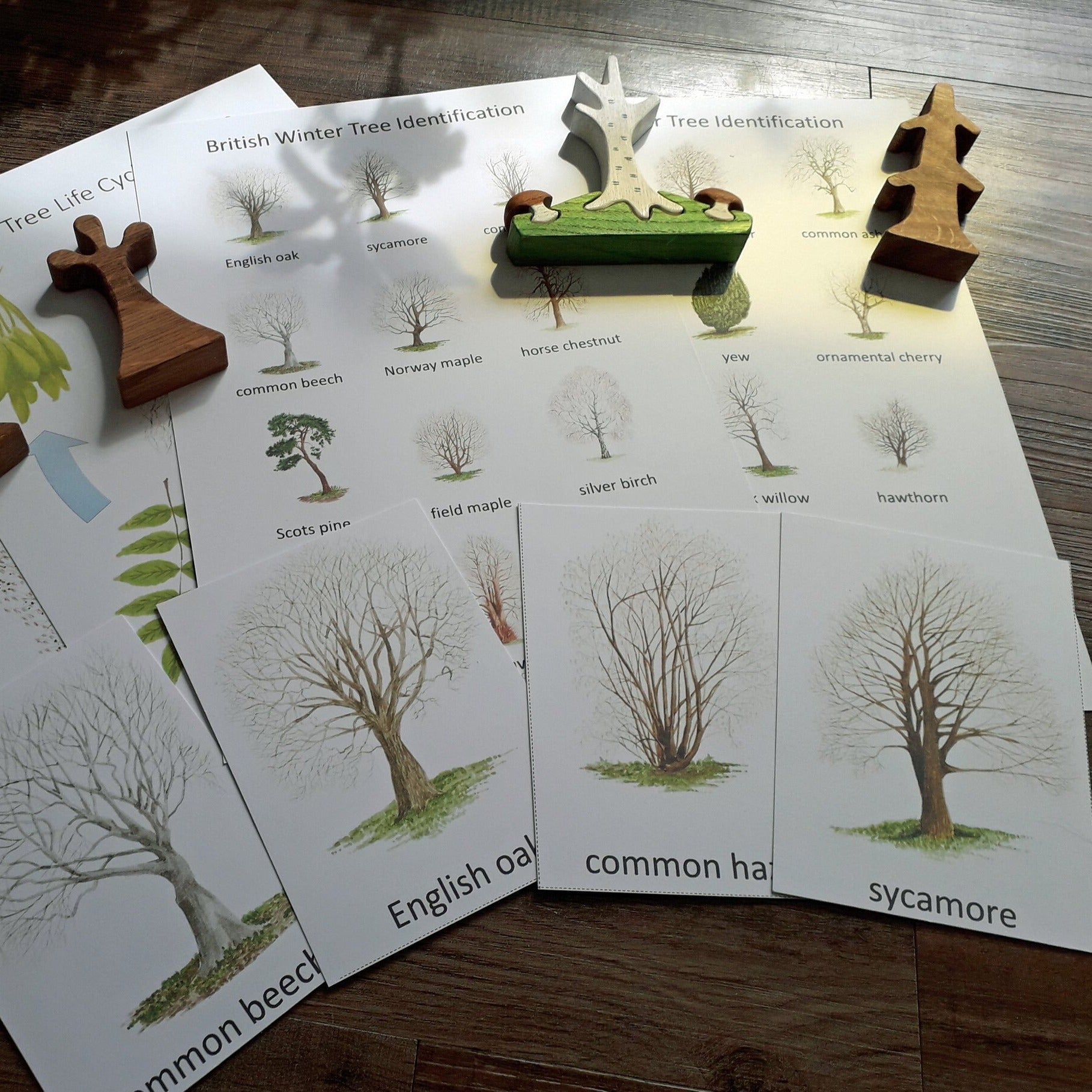 Winter Trees Montessori pack - PDF - At the Cherry Tree