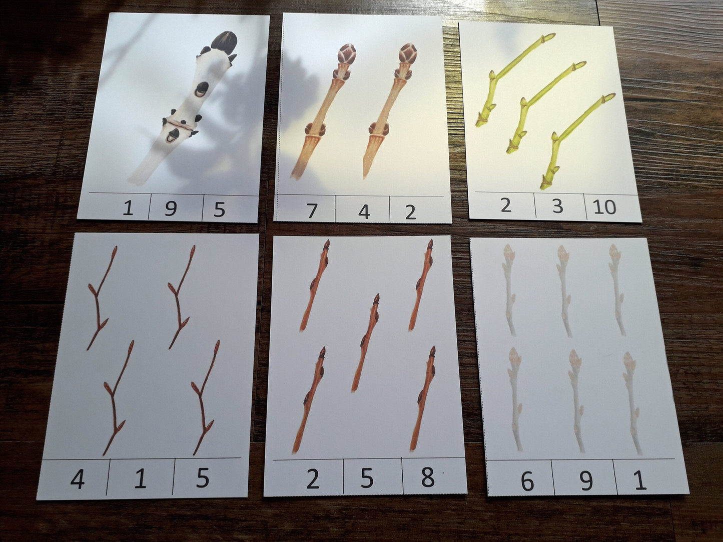 Winter Twigs Montessori pack - PDF - At the Cherry Tree