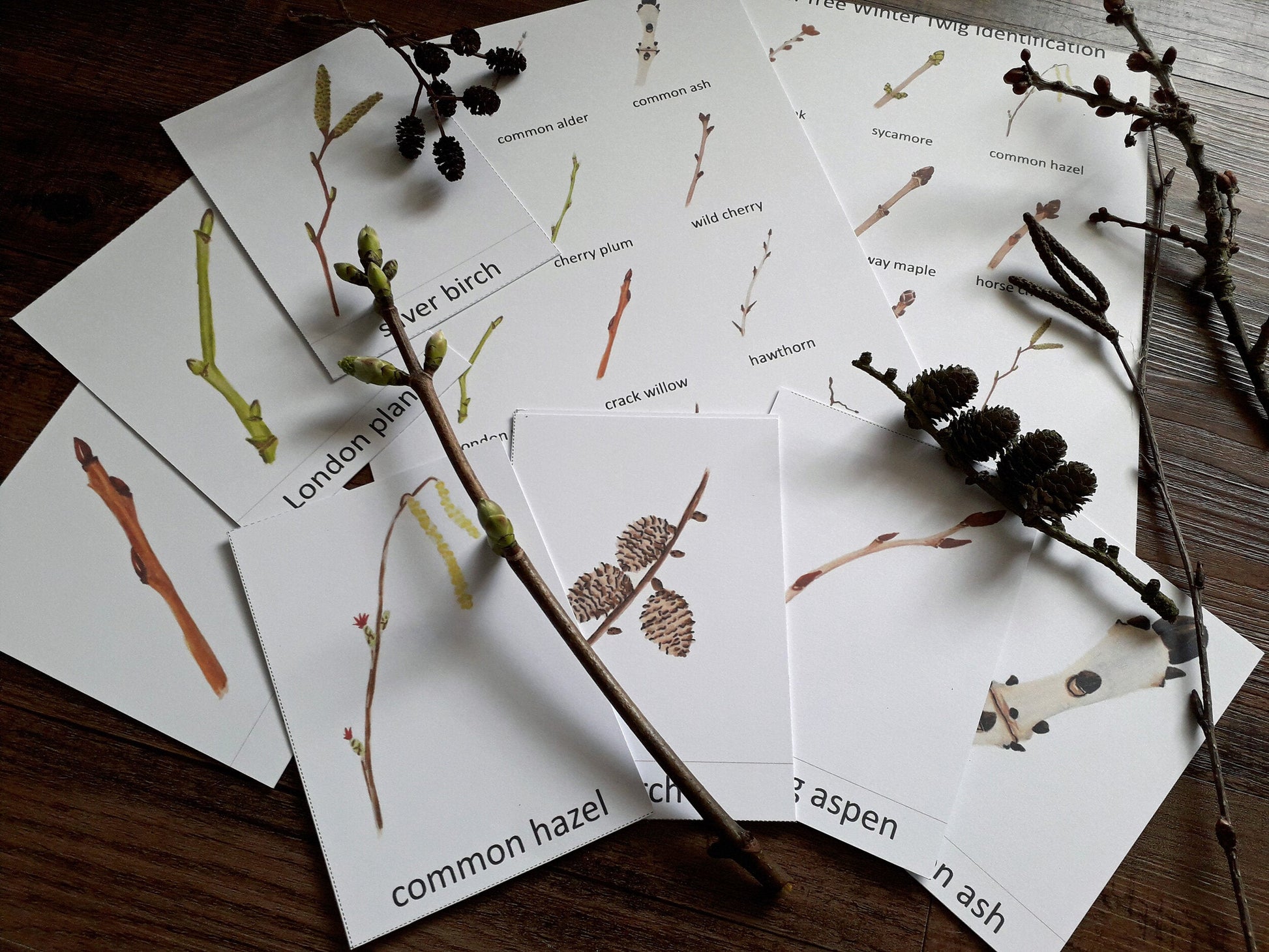 Winter Twigs Montessori pack - PDF - At the Cherry Tree