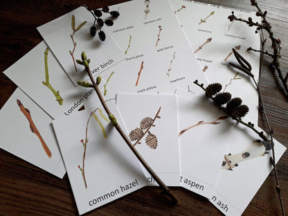 Winter Twigs Montessori pack - PDF - At the Cherry Tree