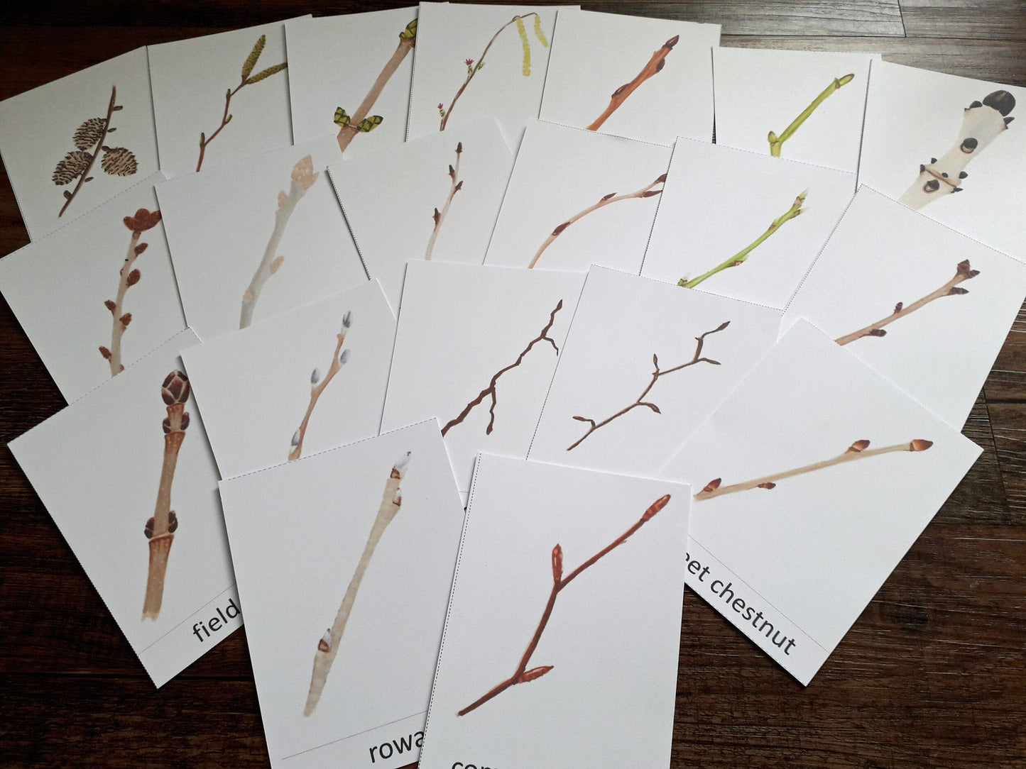Winter Twigs Montessori pack - PDF - At the Cherry Tree