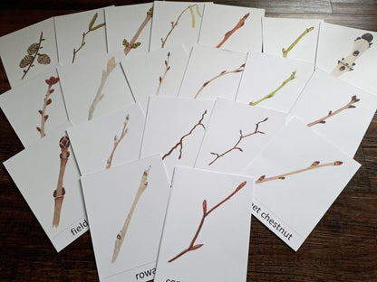 Winter Twigs Montessori pack - PDF - At the Cherry Tree