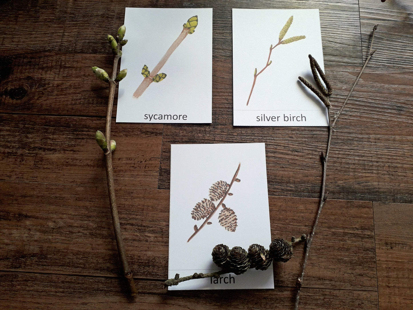 Winter Twigs Montessori pack - PDF - At the Cherry Tree