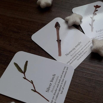 Winter Twigs - Pocket Set - At the Cherry Tree