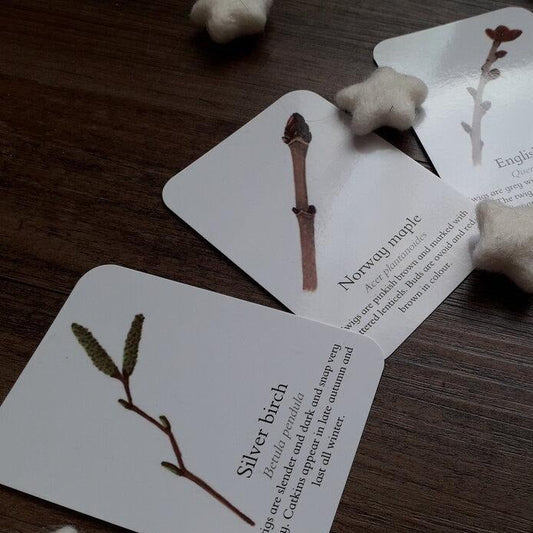 Winter Twigs - Pocket Set - At the Cherry Tree