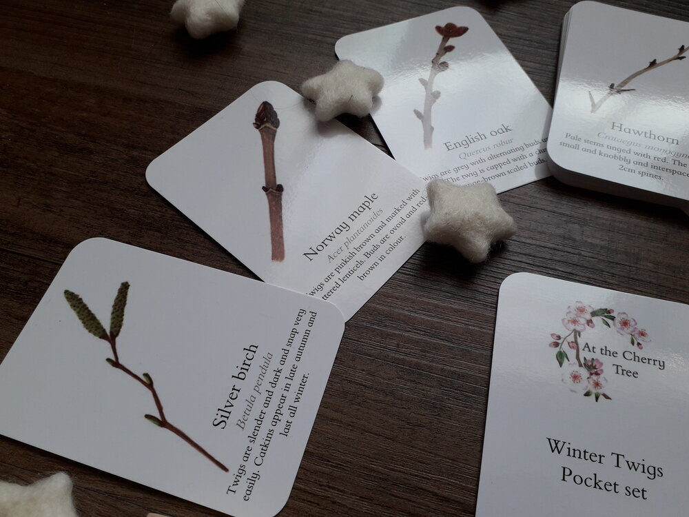 Winter Twigs - Pocket Set - At the Cherry Tree