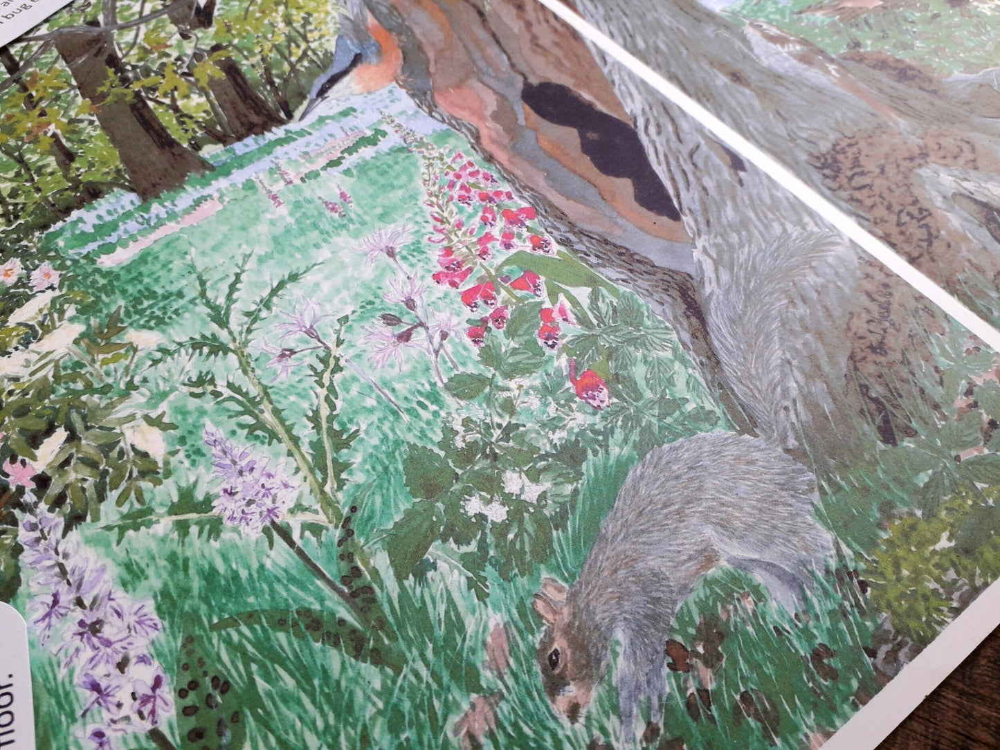 Woodland Spot and Find Pack - PDF - At the Cherry Tree