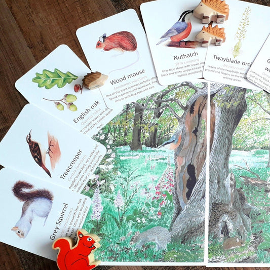 Woodland Spot and Find Pack - PDF - At the Cherry Tree