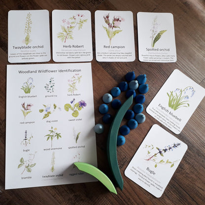 Woodland Wildflower Flashcards - PDF - At the Cherry Tree