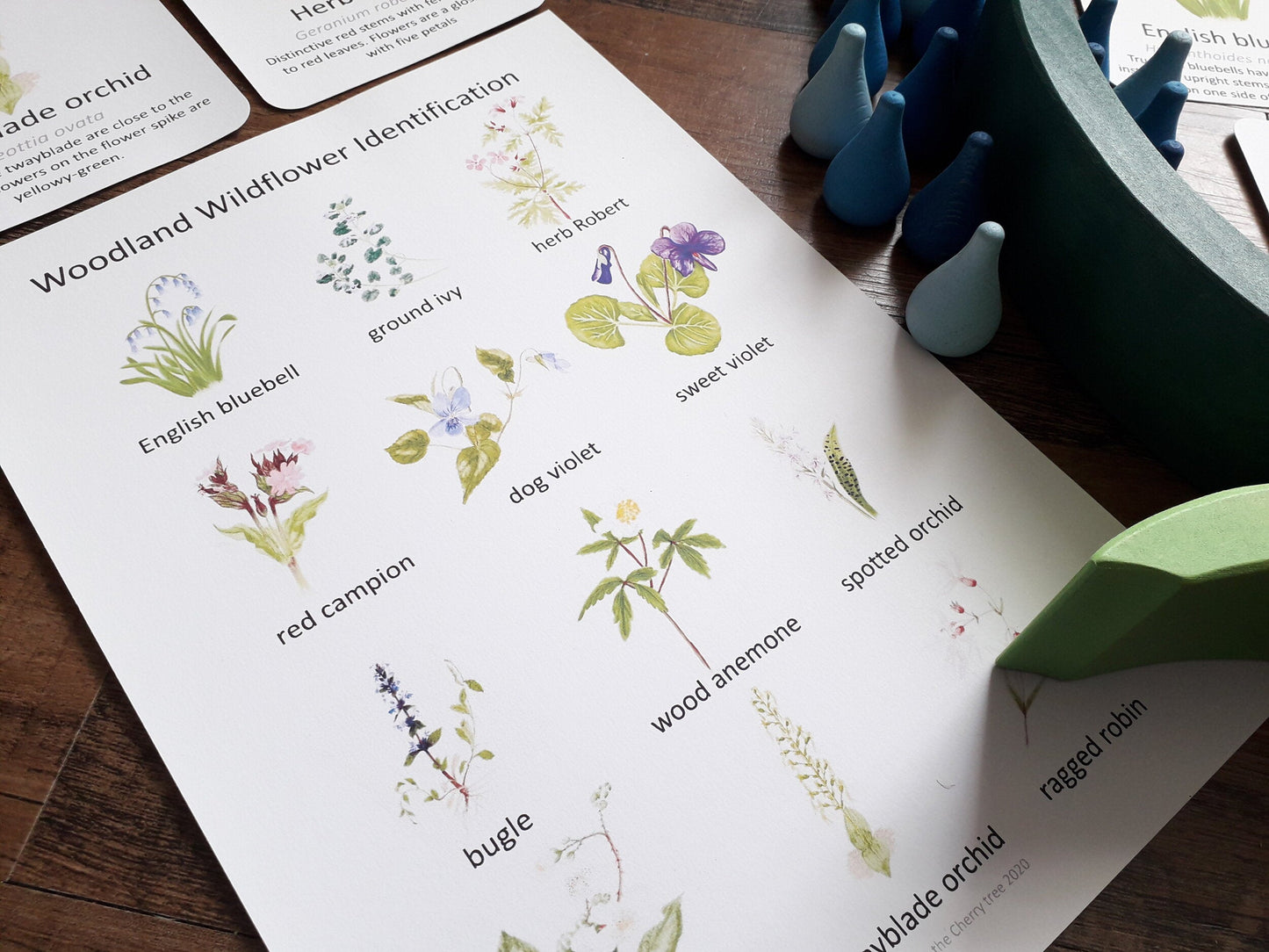 Woodland Wildflower Flashcards - PDF - At the Cherry Tree