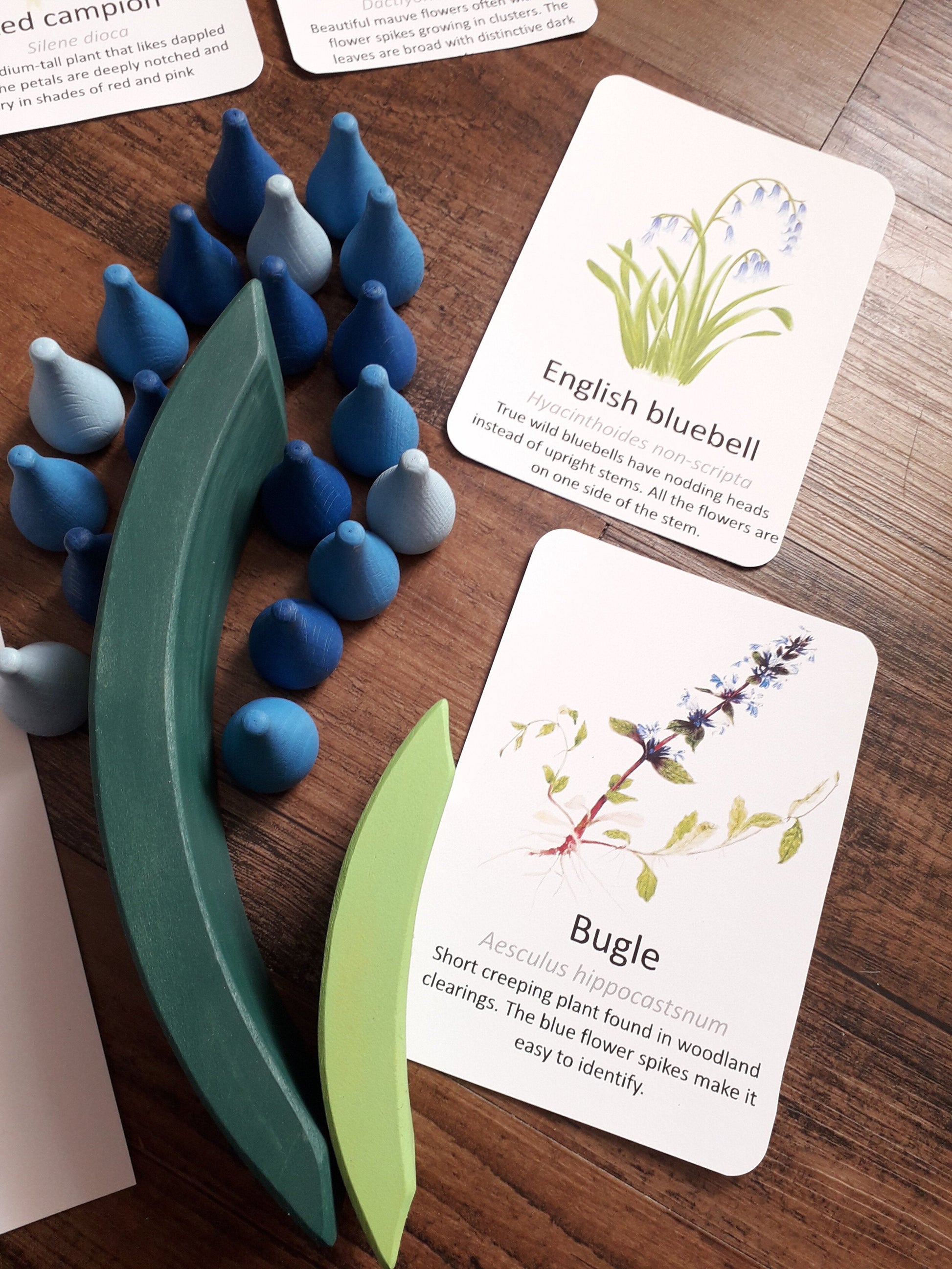 Woodland Wildflower Flashcards - PDF - At the Cherry Tree