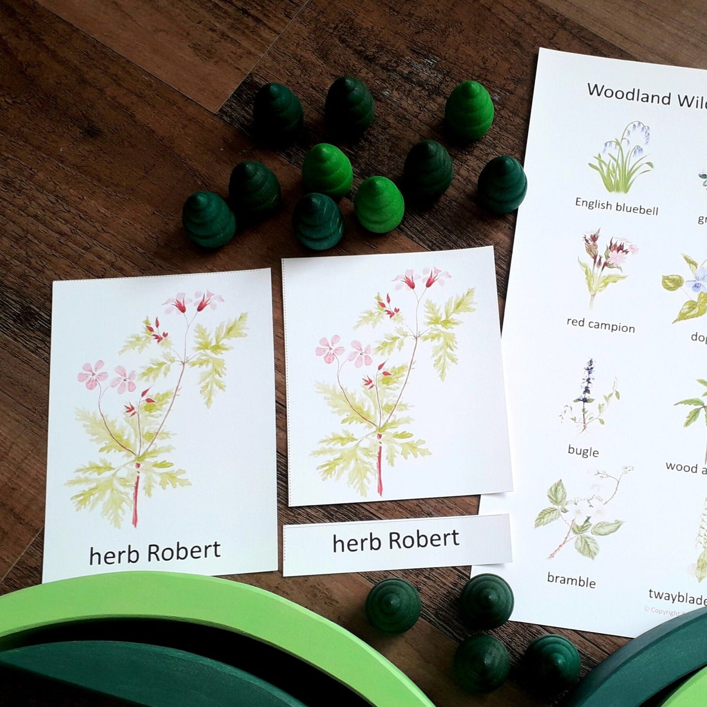 Woodland Wildflower Montessori 3 part cards - PDF - At the Cherry Tree