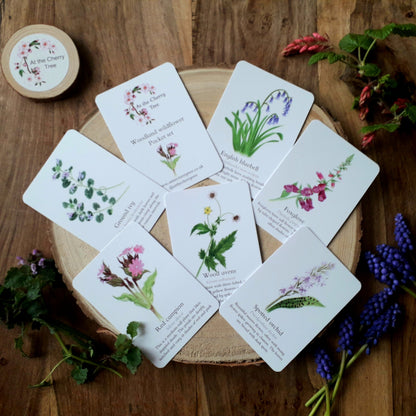 Woodland Wildflower Pocket Set - At the Cherry Tree