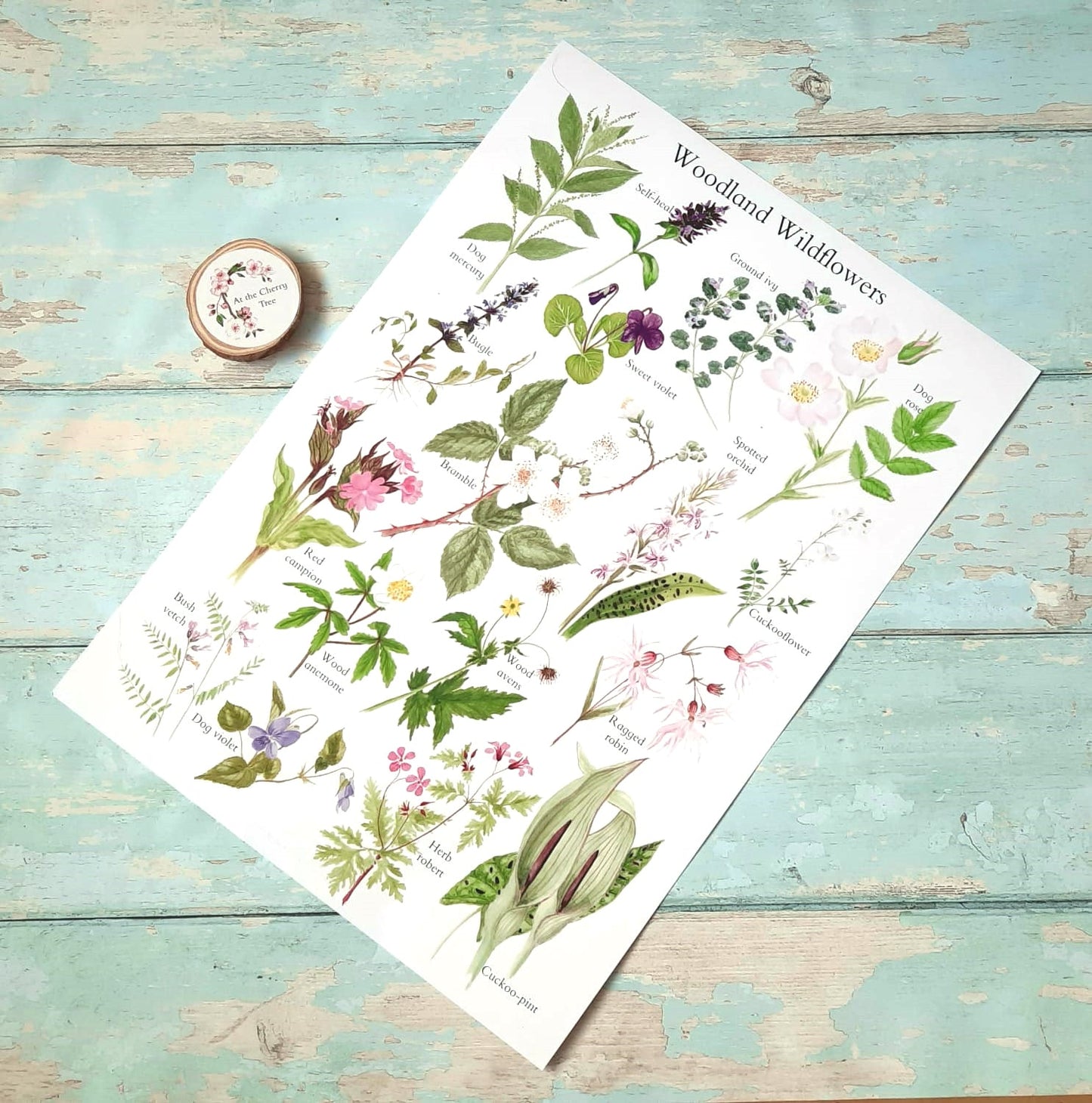 Woodland Wildflowers - Poster Print - At the Cherry Tree