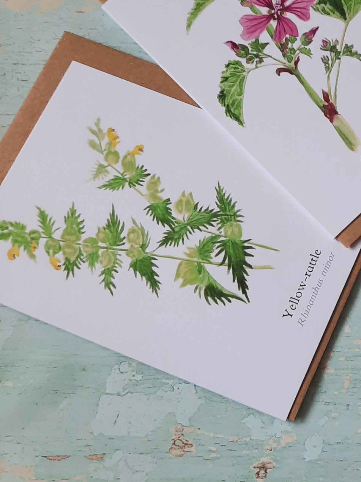 Yellow - rattle Greetings Card - At the Cherry Tree