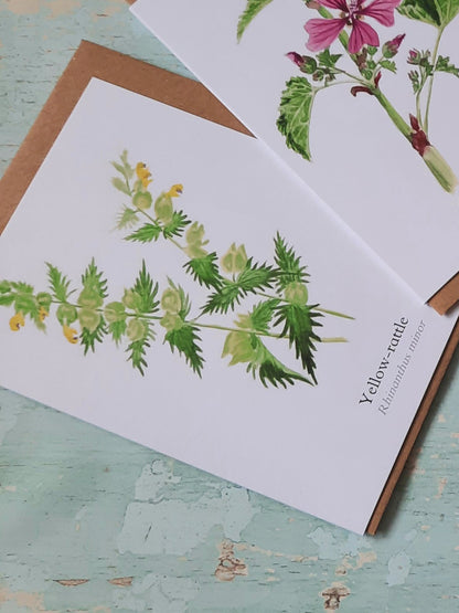Yellow - rattle Greetings Card - At the Cherry Tree